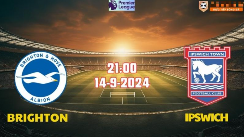 Chuyên gia phân tích soi kèo Brighton vs Ipswich Town